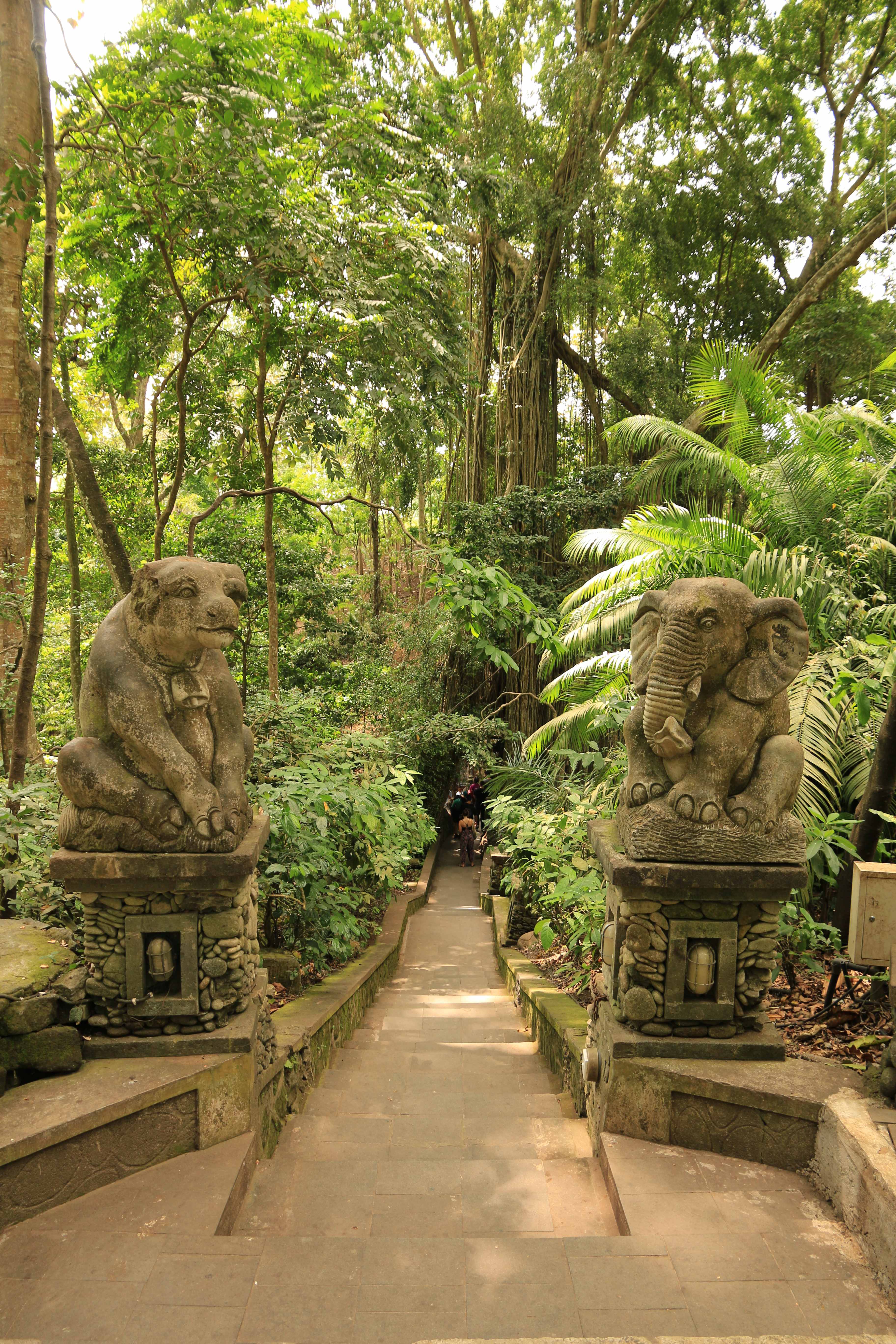 Ubud monkeys